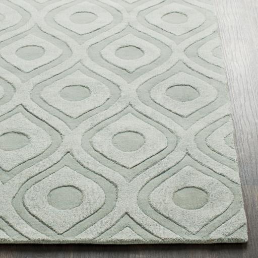 Surya Central Park AWHP-4000 4' x 6' Rug