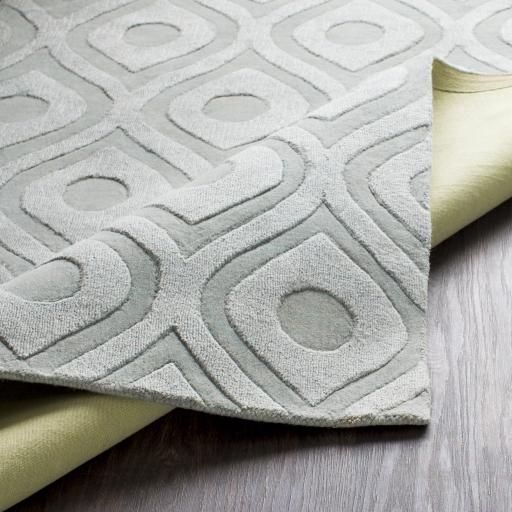 Surya Central Park AWHP-4000 9' x 12' Rug