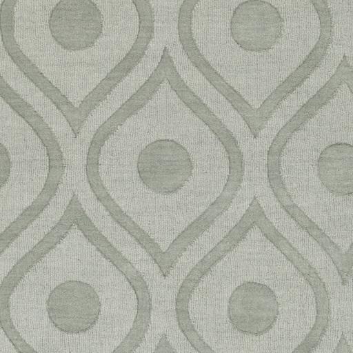 Surya Central Park AWHP-4000 9' x 12' Rug