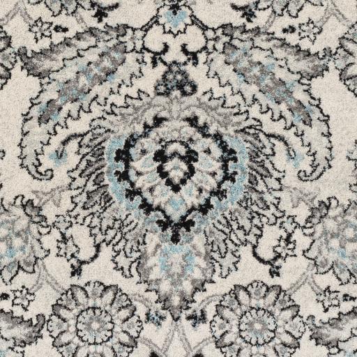 Surya Chester CHE-2323 5'3" x 7'3" Rug