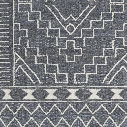 Surya Cheyenne CHY-2302 2' x 3' Rug