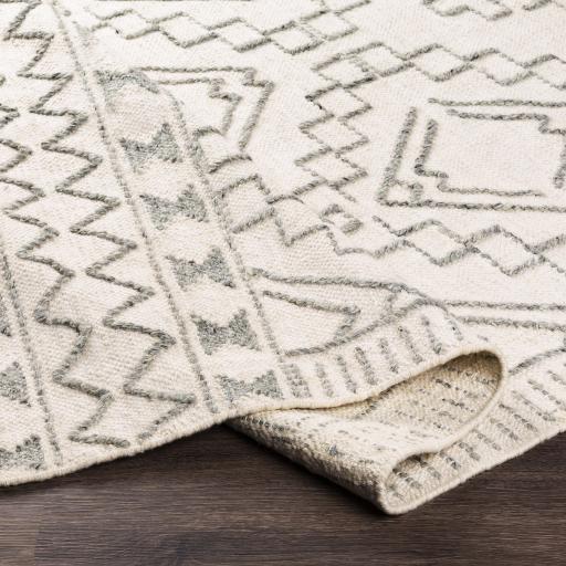 Surya Cheyenne CHY-2303 4' x 6' Rug