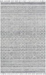 Surya Cheyenne CHY-2304 4' x 6' Rug