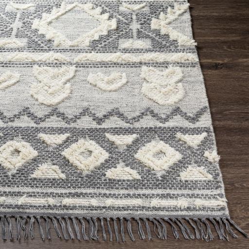 Surya Cheyenne CHY-2308 2' x 3' Rug