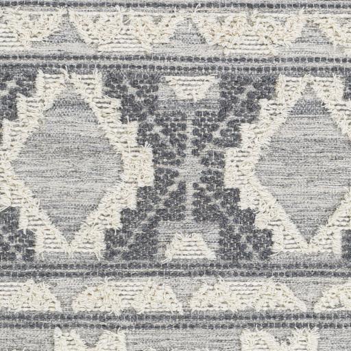 Surya Cheyenne CHY-2308 2' x 3' Rug