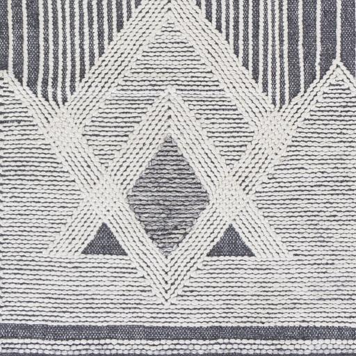 Surya Cheyenne CHY-2309 2' x 3' Rug