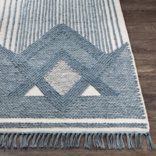 Surya Cheyenne CHY-2310 2' x 3' Rug