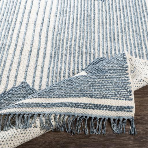 Surya Cheyenne CHY-2310 2' x 3' Rug