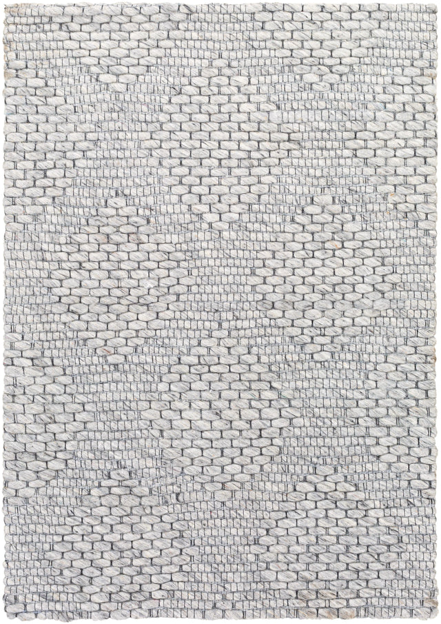 Surya Colarado CDO-2302 2' x 3' Rug