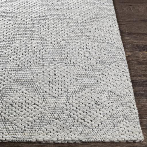 Surya Colarado CDO-2302 Black Charcoal 2' x 3' Rug