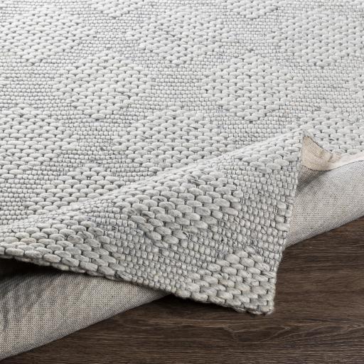 Surya Colarado CDO-2302 2' x 3' Rug