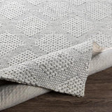 Surya Colarado CDO-2302 2' x 3' Rug