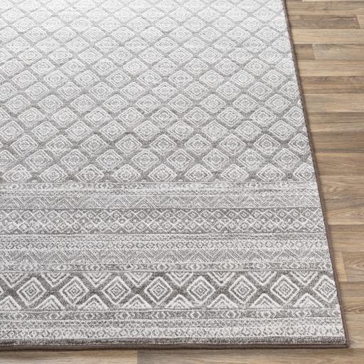 Surya Contempo CPO-3847 Charcoal Light Gray 2'7" x 7'10" Rug