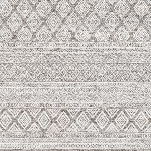 Surya Contempo CPO-3847 2'7" x 7'10" Rug