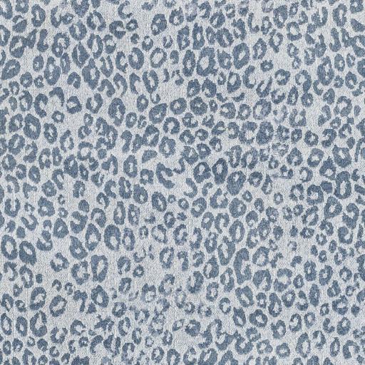 Surya Contempo CPO-3851 9' x 12'10" Rug
