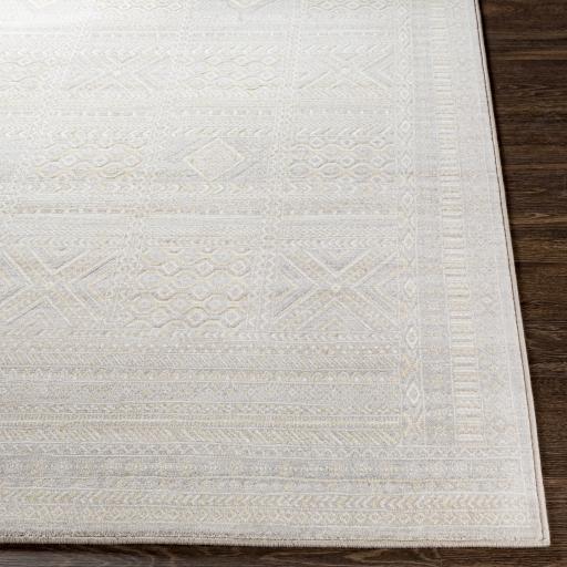 Surya Contempo CPO-3855 2' x 2'11" Rug