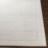 Surya Contempo CPO-3855 2' x 2'11" Rug