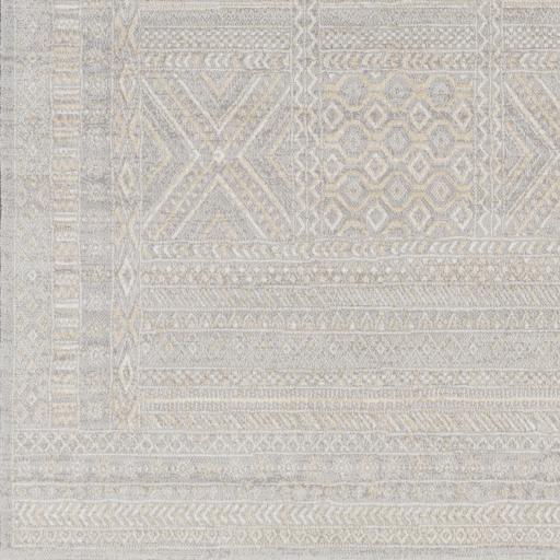 Surya Contempo CPO-3855 2' x 2'11" Rug