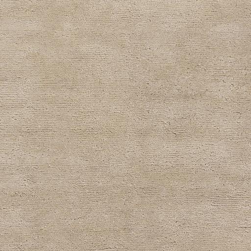 Surya Cotswald CTS-5004 Beige 2' x 3' Rug