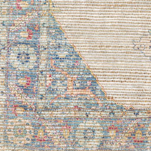 Surya Coventry COV-2301 2' x 3' Rug