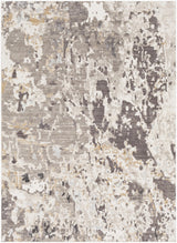 Surya Crescendo CRC-1011 5'3" x 7'7" Rug