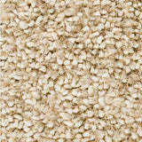 Surya Cumulus CML-2000 2' x 3' Rug