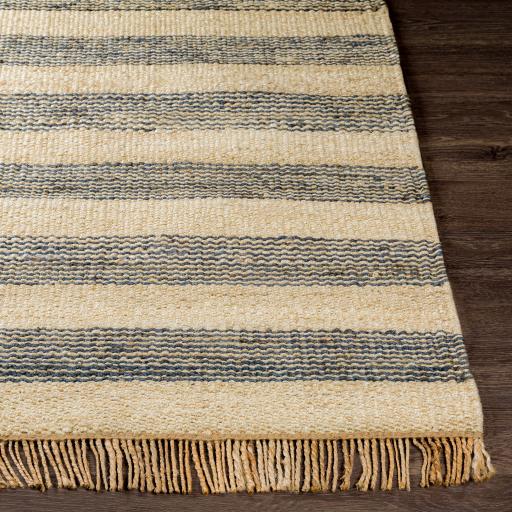 Surya Davidson II DVN-2006 Cream Navy 2' x 3' Rug
