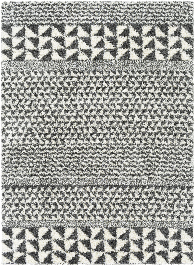 Surya Deluxe Shag DXS-2310 2' x 3' Rug