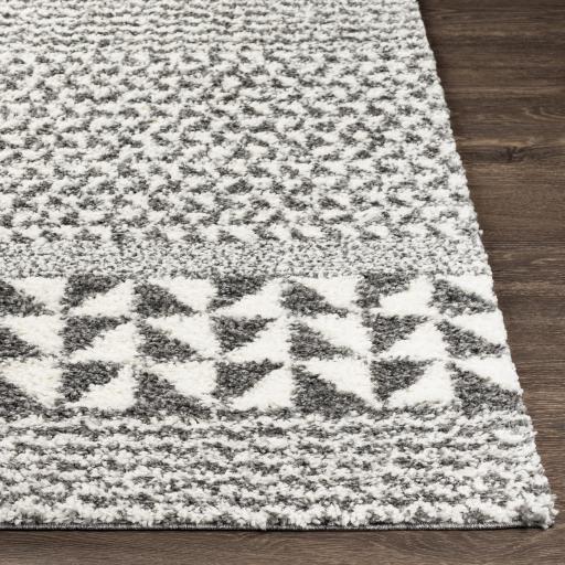 Surya Deluxe Shag DXS-2310 2' x 3' Rug