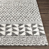 Surya Deluxe Shag DXS-2310 2' x 3' Rug