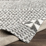 Surya Deluxe Shag DXS-2310 2' x 3' Rug