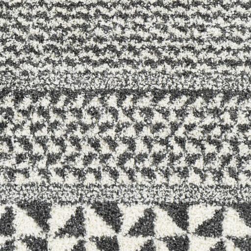 Surya Deluxe Shag DXS-2310 2' x 3' Rug