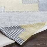 Surya Didim DDM-2302 8' x 10' Rug