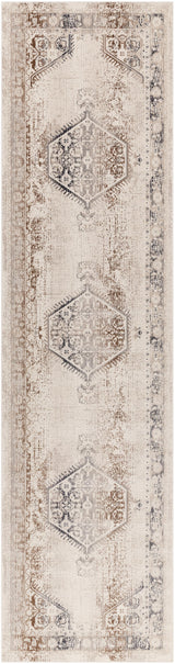 Surya Dublin DUB-2301 2'7" x 10'2" Rug