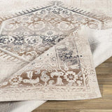 Surya Dublin DUB-2301 2'7" x 10'2" Rug
