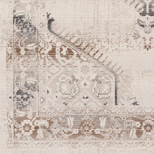 Surya Dublin DUB-2301 2'7" x 10'2" Rug