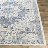 Surya Dublin DUB-2302 2' x 3'2" Rug