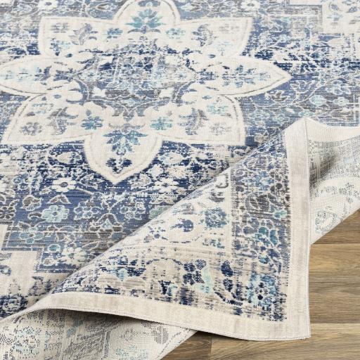 Surya Dublin DUB-2302 2' x 3'2" Rug