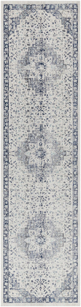 Surya Dublin DUB-2302 2'7" x 10'2" Rug