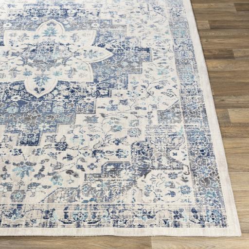 Surya Dublin DUB-2302 2'7" x 10'2" Rug