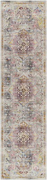 Surya Dublin DUB-2308 2'7" x 10'2" Rug