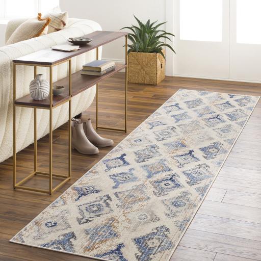Surya Dublin DUB-2310 2'7" x 10'2" Rug