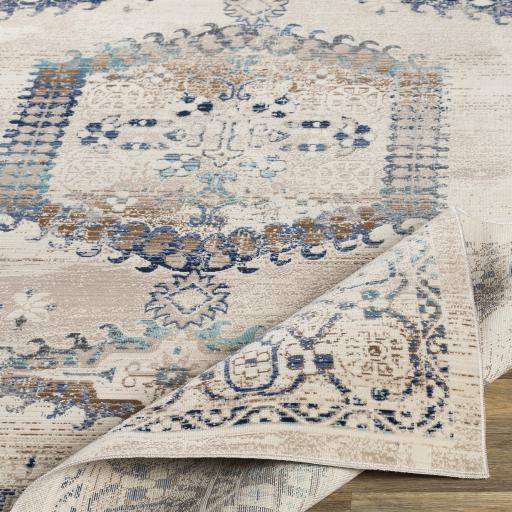Surya Dublin DUB-2311 2'7" x 10'2" Rug
