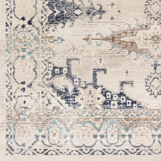 Surya Dublin DUB-2311 2'7" x 10'2" Rug
