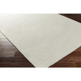 Surya Dutchess DTC-8001 Light Gray Metallic Silver 2' x 3' Rug