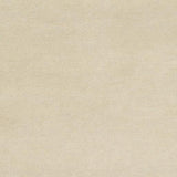 Surya Dutchess DTC-8003 Metallic Silver Oatmeal 4' x 6' Rug