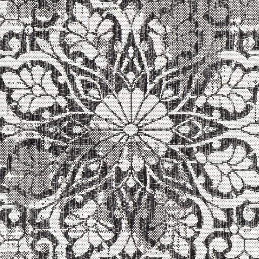 Surya Eagean EAG-2364 8'10" x 12' Rug