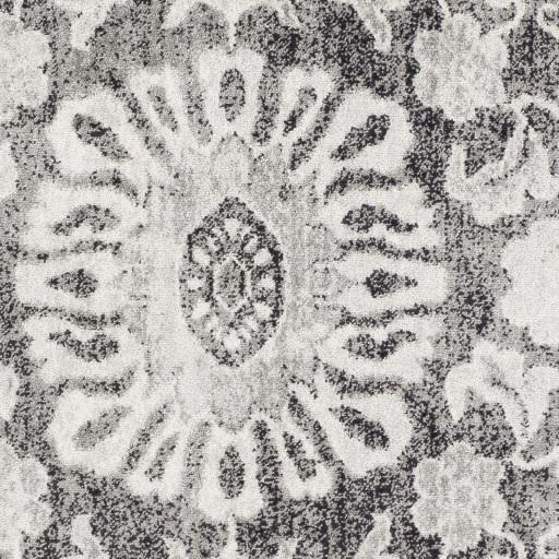 Surya Elaziz ELZ-2316 2'7" x 7'6" Rug