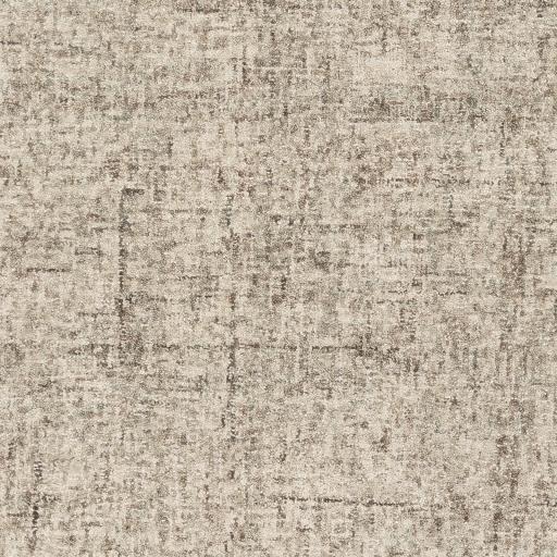 Surya Emily EIL-2300 2' x 3' Rug