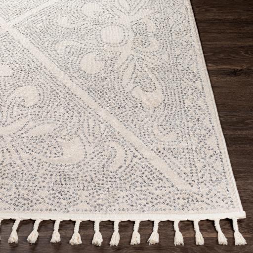 Surya Euphoria ERP-2308 Charcoal Light Gray 2'7" x 7'3" Rug